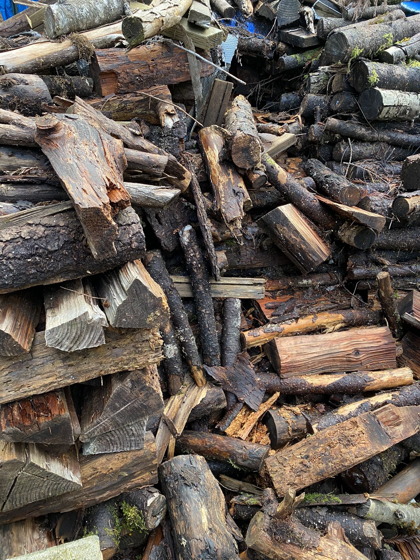 Firewood