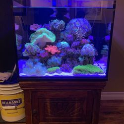 Innovative Marine 40 Gallon 