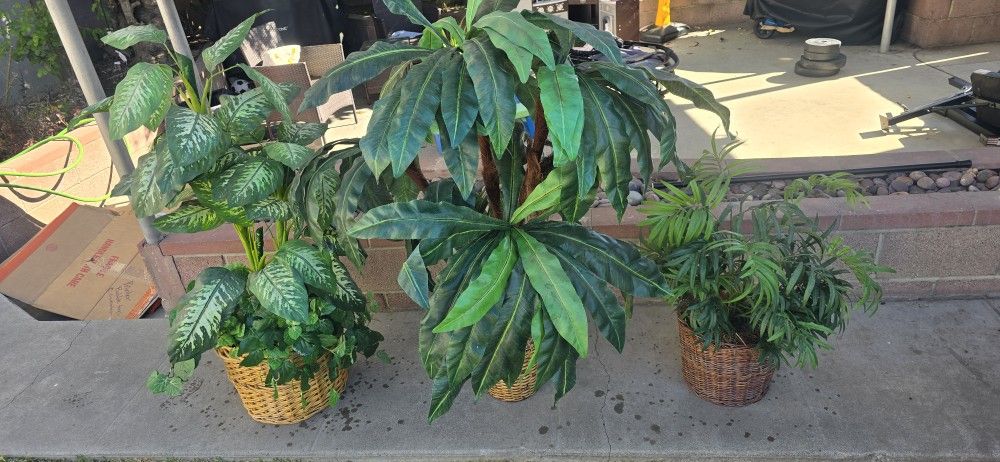 Beautiful Fake Plants