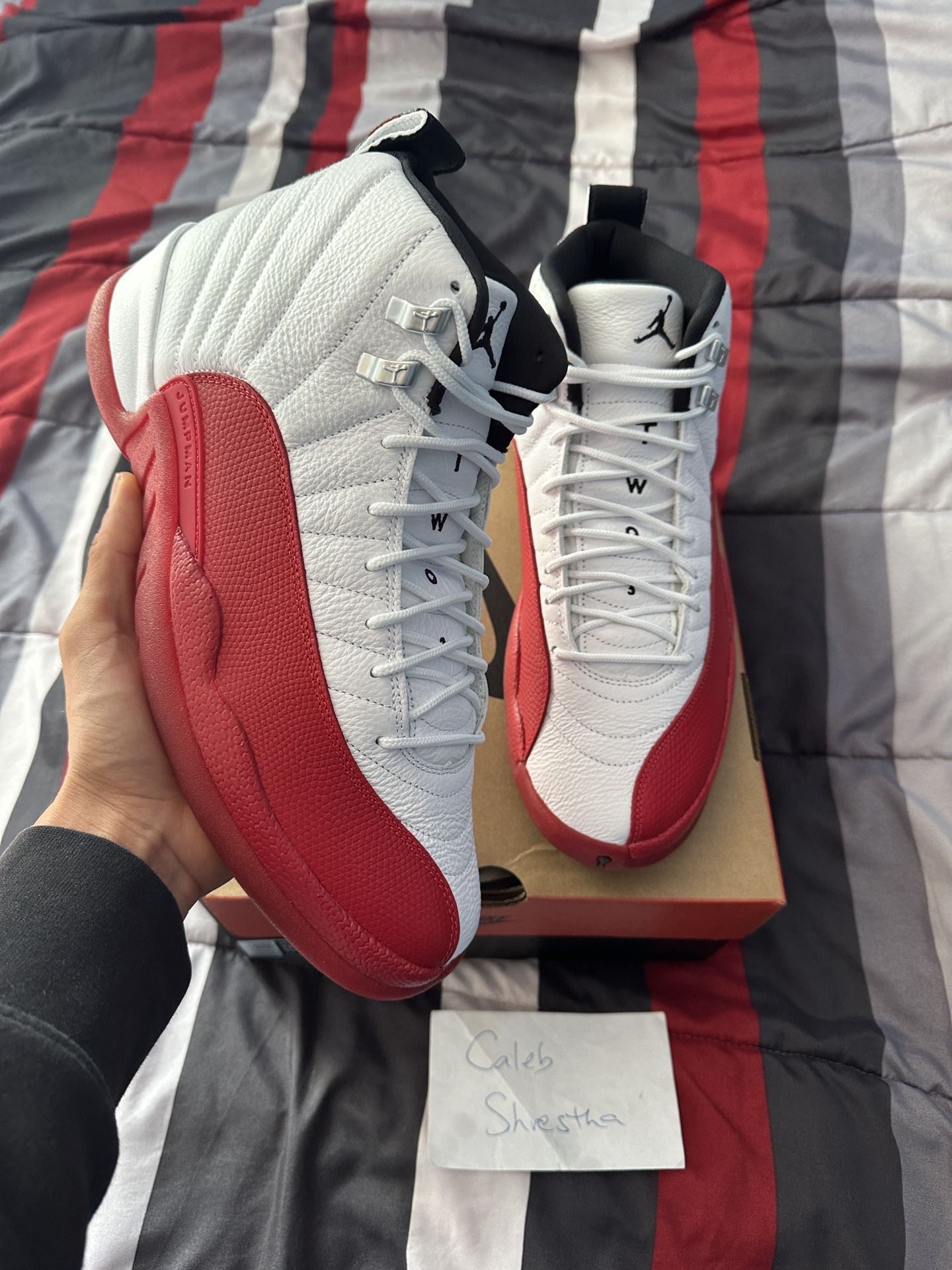 Air Jordan 12 Cherry Size 12