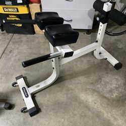 Back Raise Gym