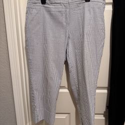 Women’s Plus Size Clothing