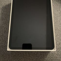 iPad 