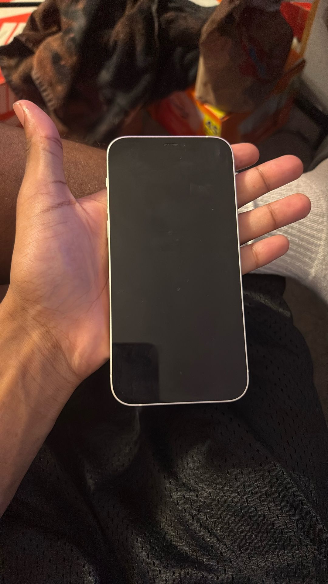 iPhone 12