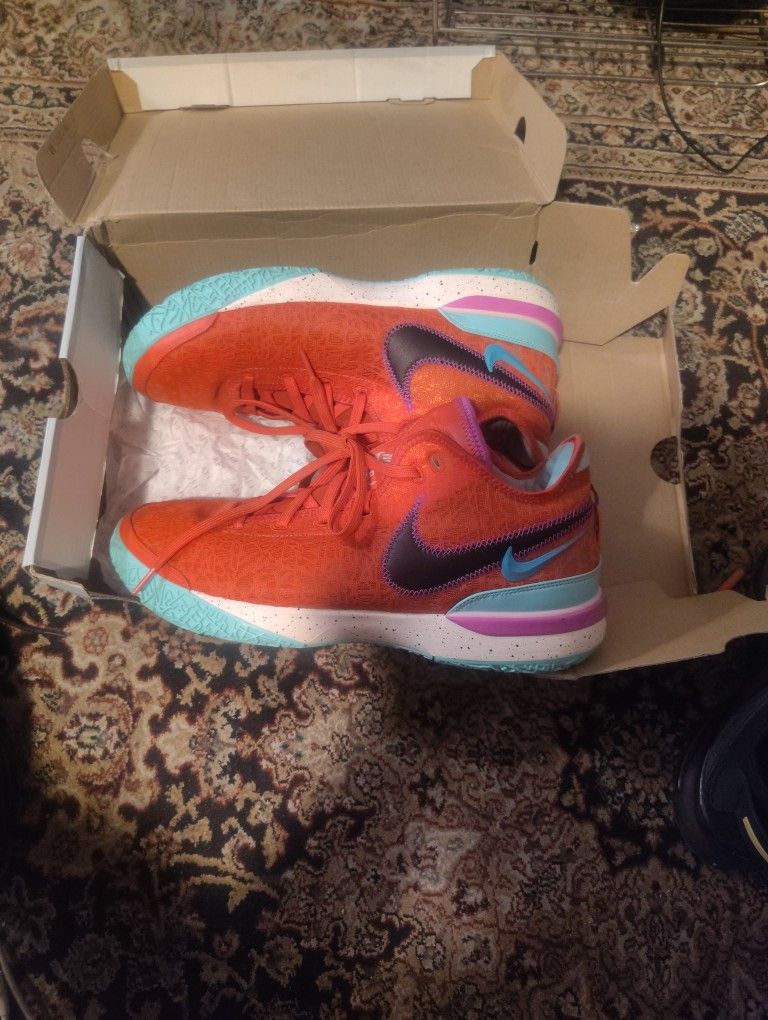 Nike zoom lebron Nxxt Gen