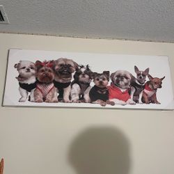 Dog Poster 