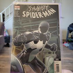 Symbiote Spider-Man 1