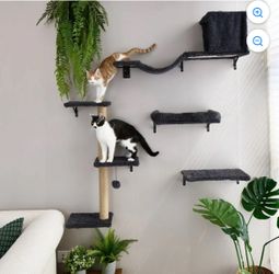 Plush Cat Wall Furniture