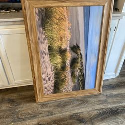 Beach Picture With Beach Grass 