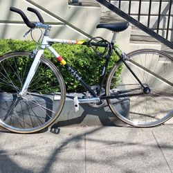 State Fixed Gear