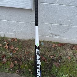 Easton baseball Bat