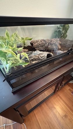 40 Gallon Bioactive Enclosure