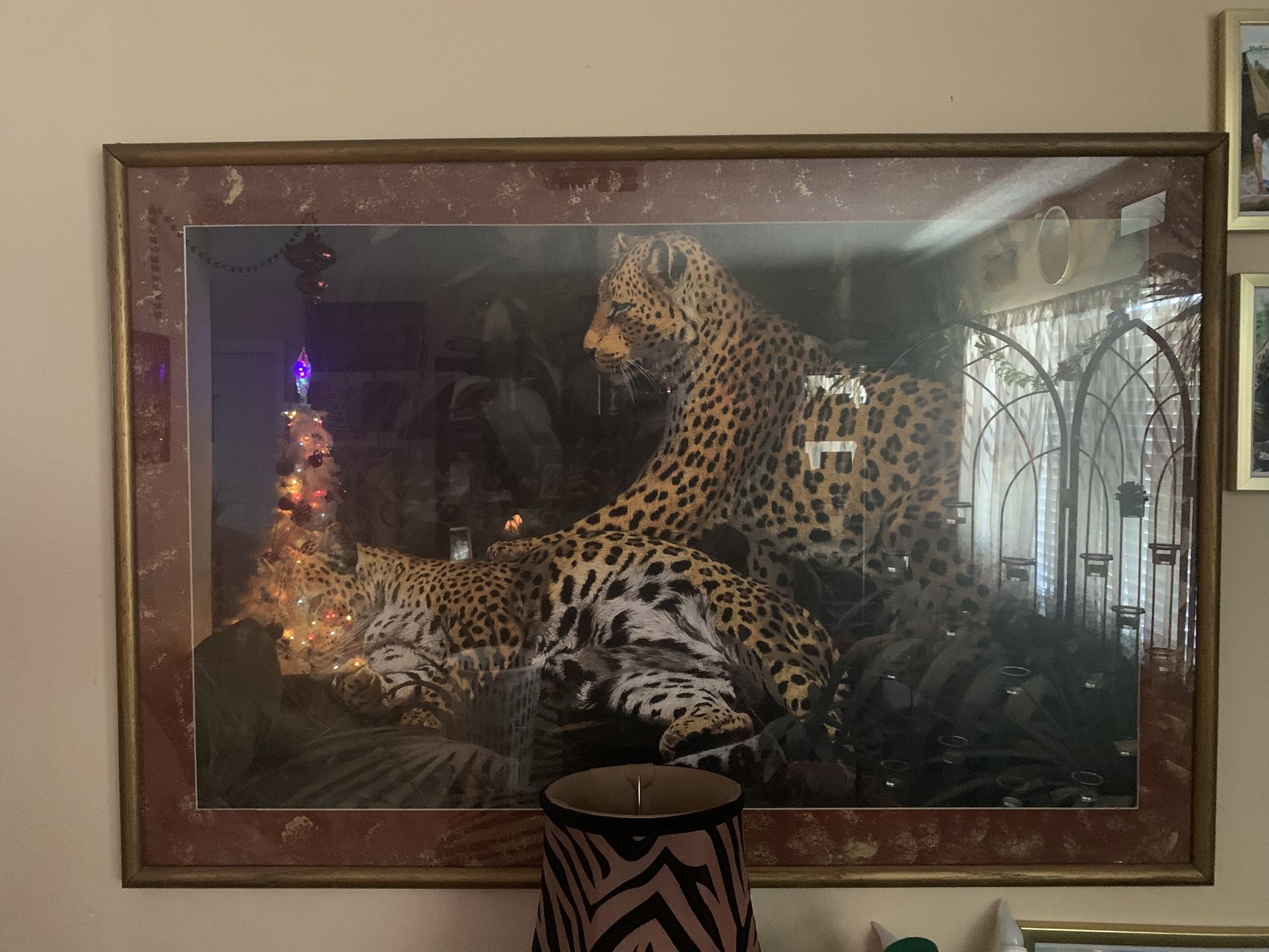 Leopard Picture Large