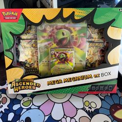 Ascended heroes mega medium ex box Pokémon cards