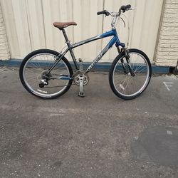 Giant Bike