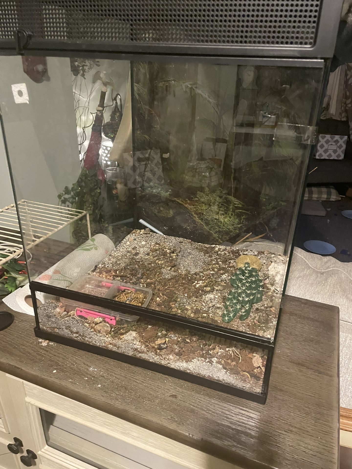 Lizard or chameleon terrarium