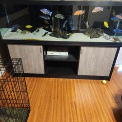 125 Gallon Aquarium/fish Tank 