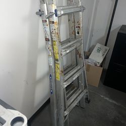 Werner Foldable Ladder