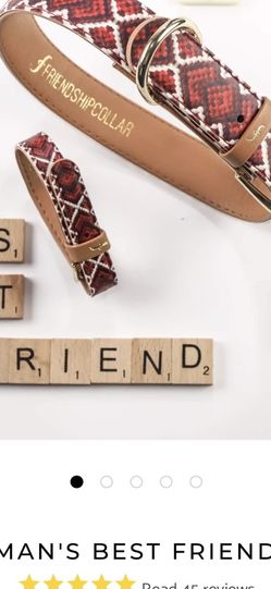 Friendship Collar