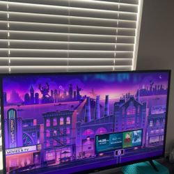43” Roku Tv