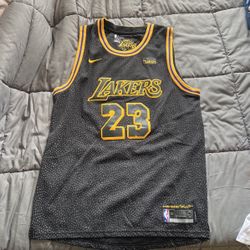Los Angeles Lakers Lebron James #23 Nike NBA Jersey Lore series Mamba Size 54 XL
