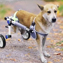Dog Wheelchair