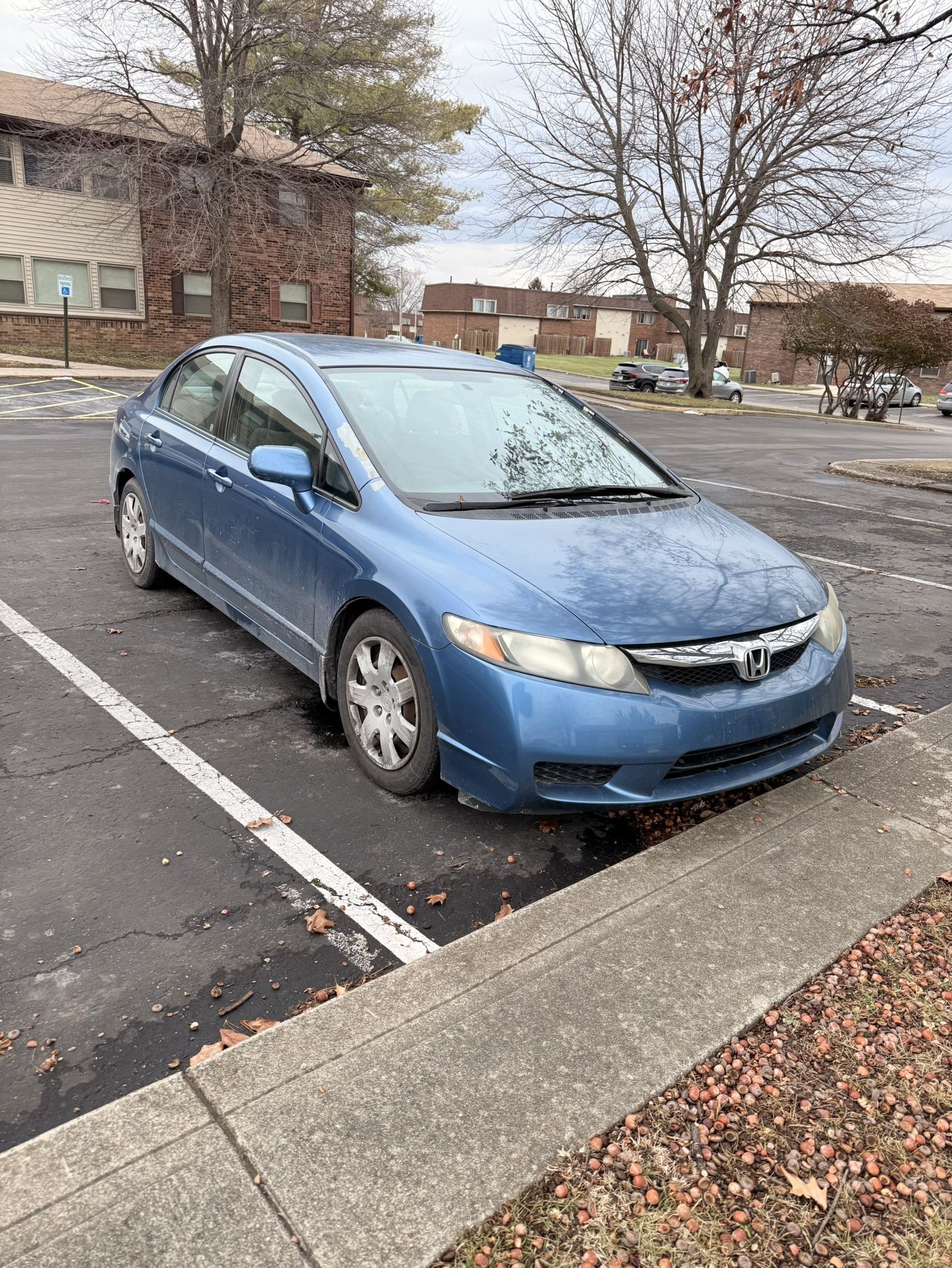 2010 Honda Civic