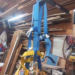 Safety Harness With Lanyard