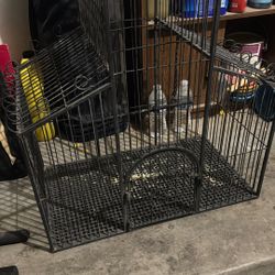 Birdcage 