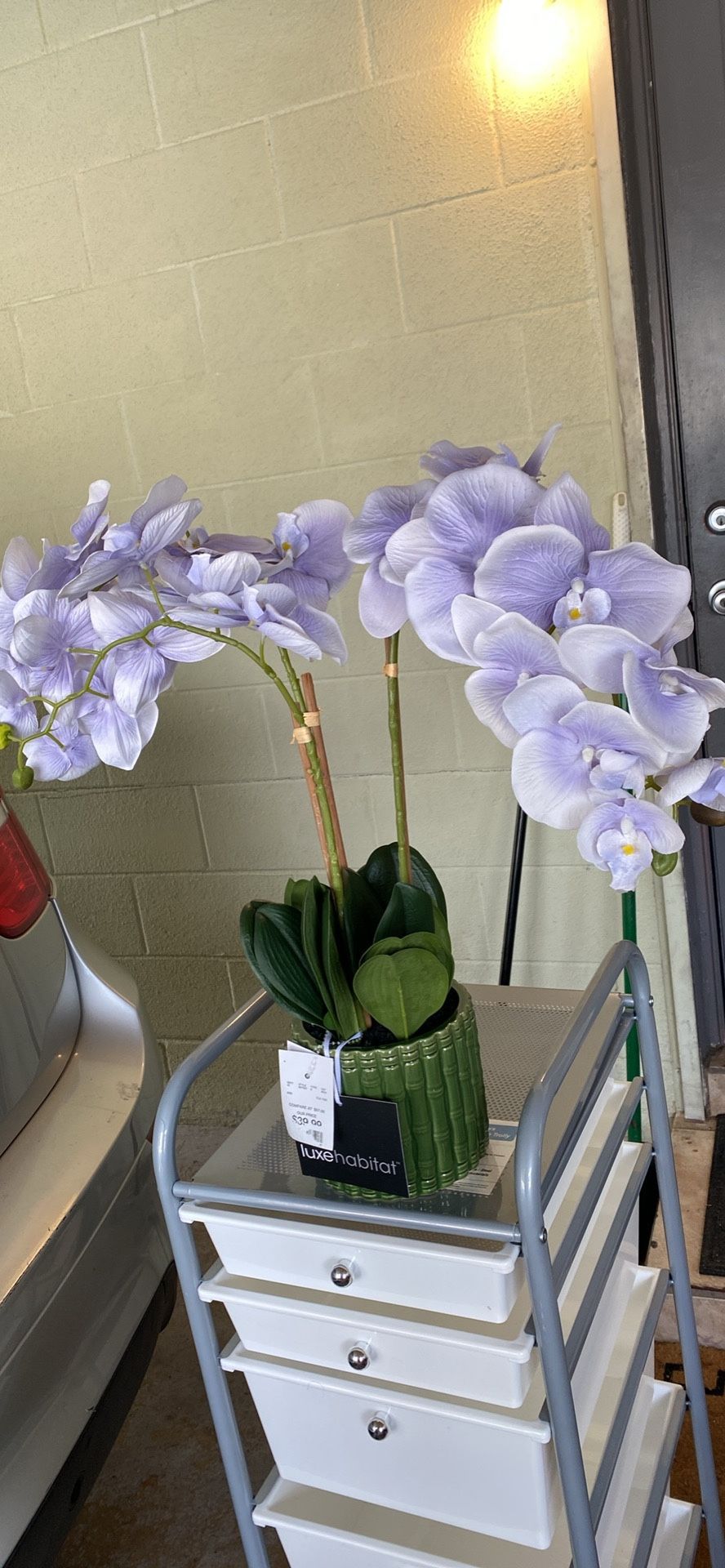 Pretty Flower And Pot