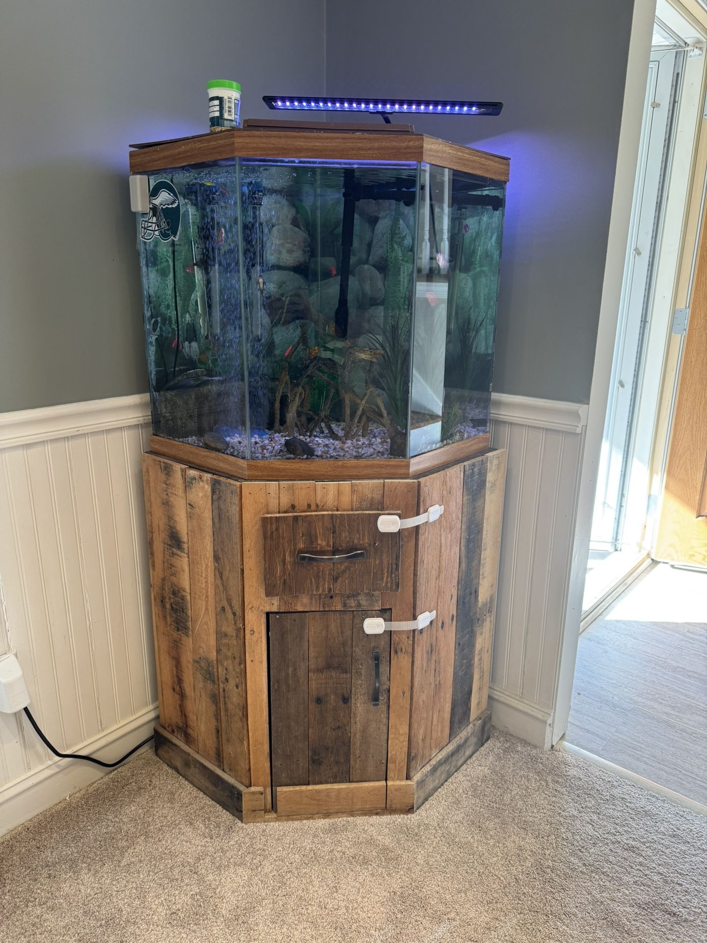 55 Gallon Fish Tank