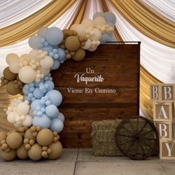 Party Backdrop / Balloon decorations 