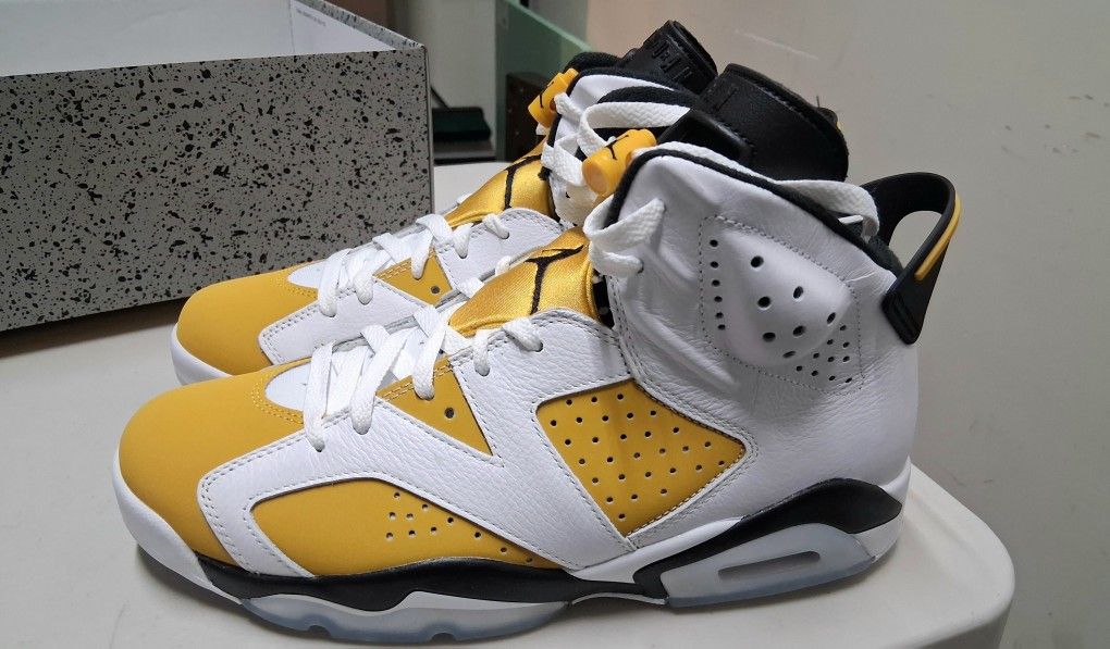 Nike Air Jordan 6 Retro 