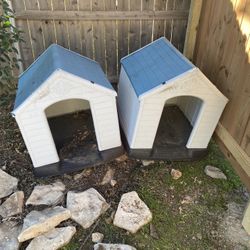 Large Dog Houses 