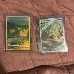 Pokemon Cards  Trade 