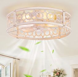 Lediary Caged Ceiling Fan with Light