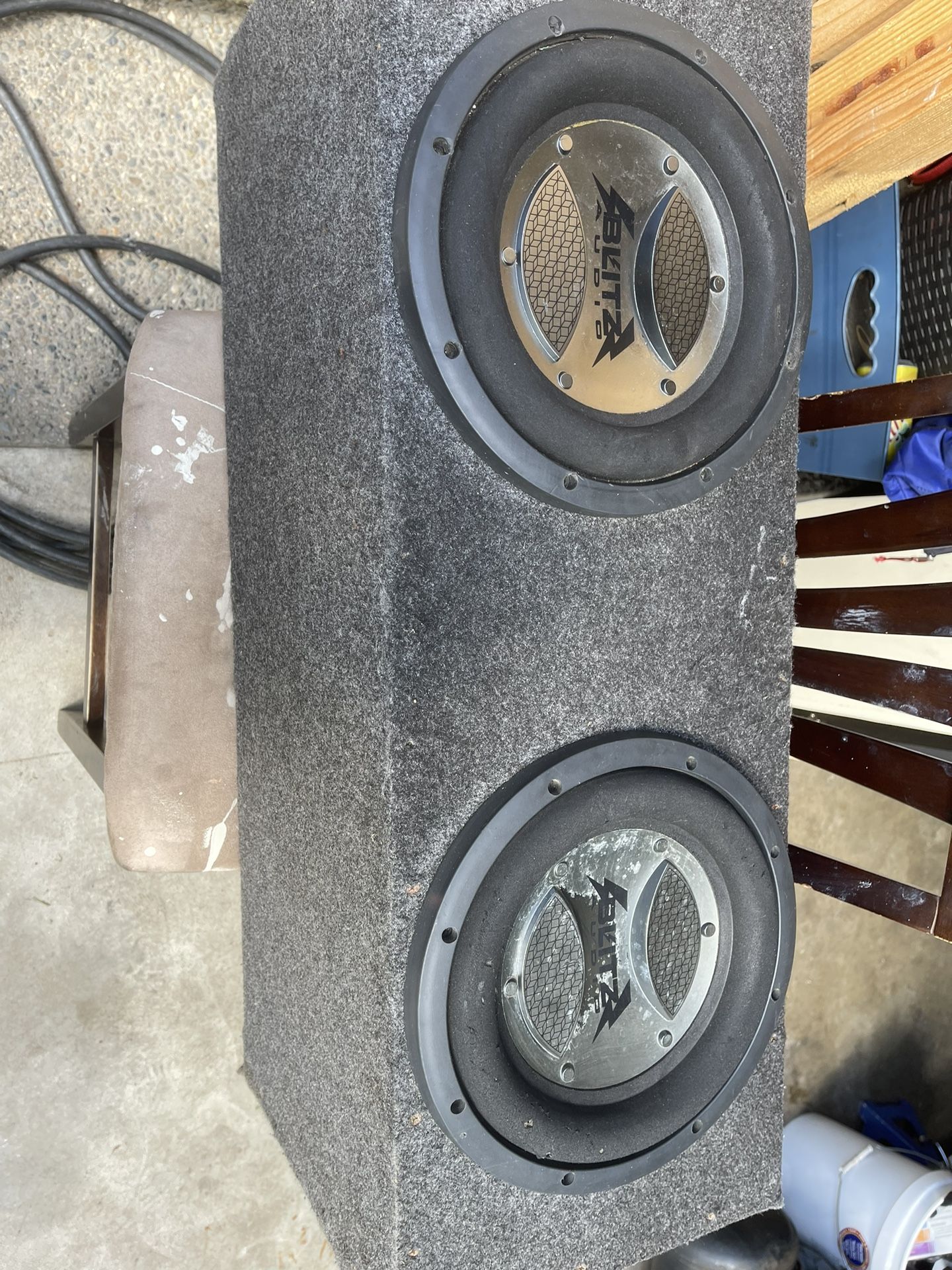 Blitz 10in Subwoofers 