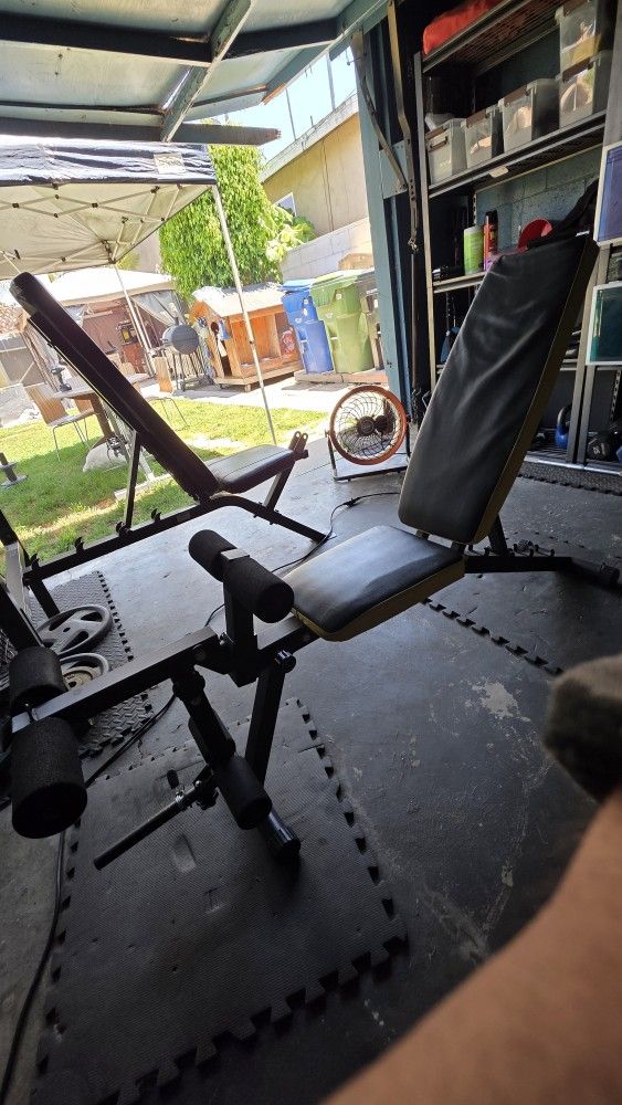 Leg Extension And Hamstring Curl Bench (No Weights)