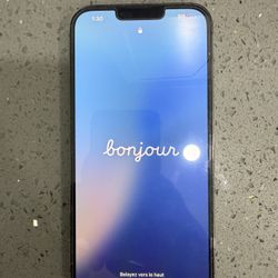 iPhone 13 Pro Max