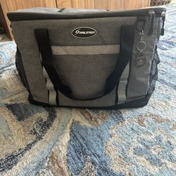 Large Insulated Bag 
