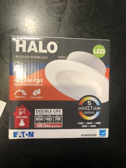 16 master Lutron switches with dimmers, (5 ) simple on/off Lutron switches, (20 ) base and trim and (10) Halo LED 4”