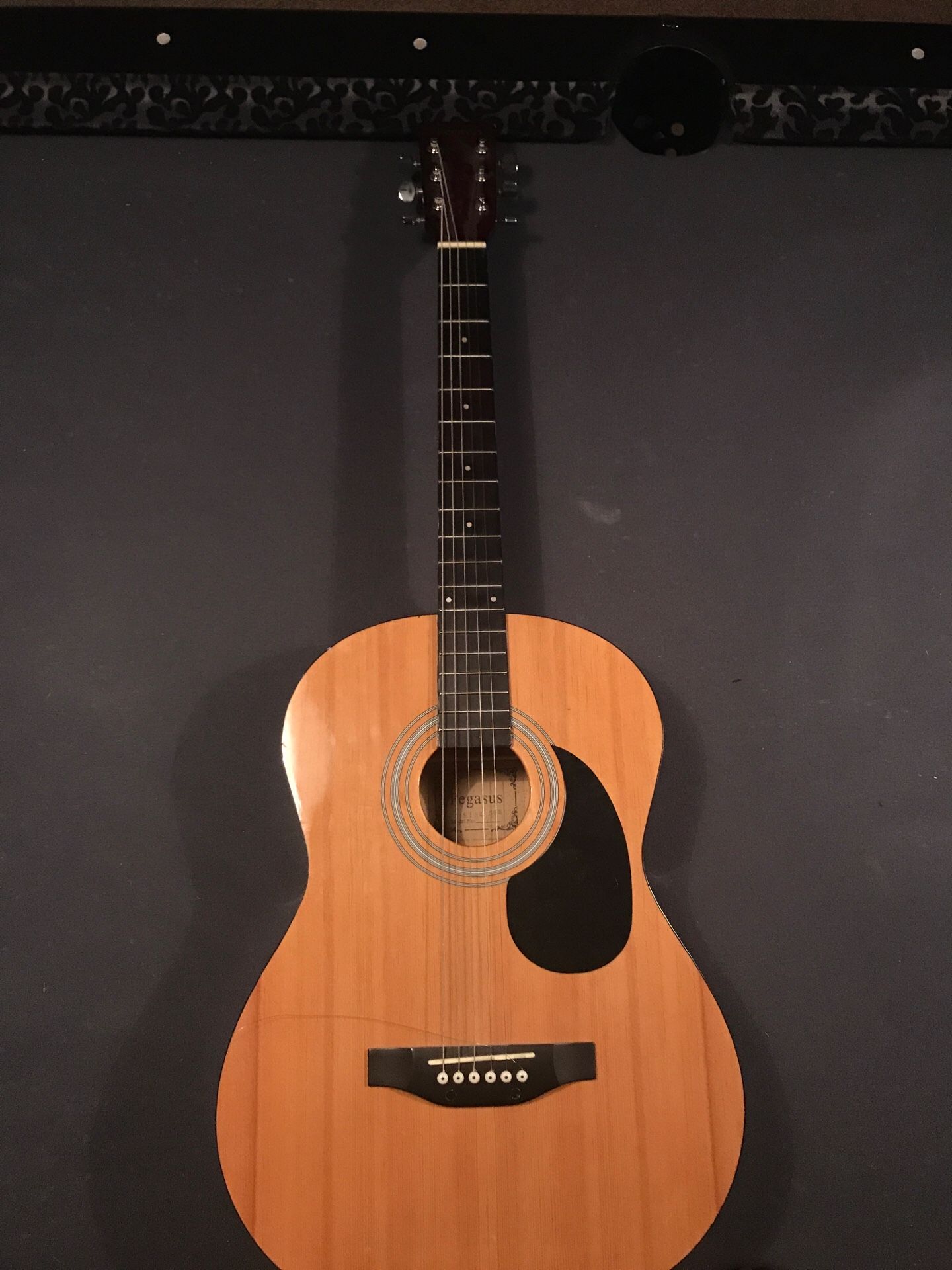 Pegasus Acoustic Guitar