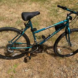 Green Roadmaster Speed15 Bike