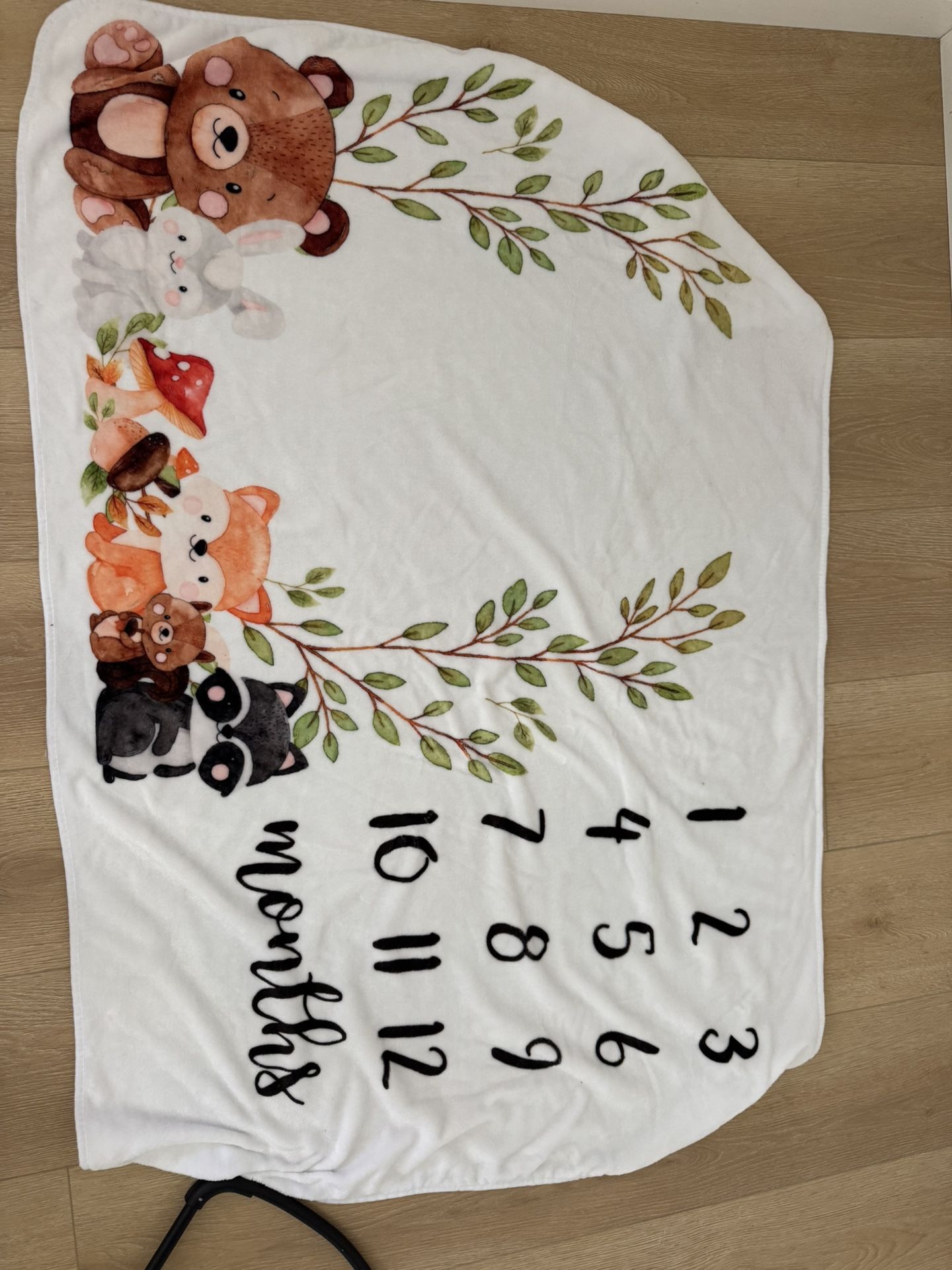 Baby Month Blanket
