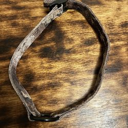 XL Dog Collar Cabelas