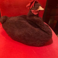 Little Red Hen Stick Puppet