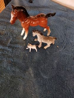 Horse's