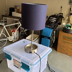 Desktop Lamp With 120v Amp