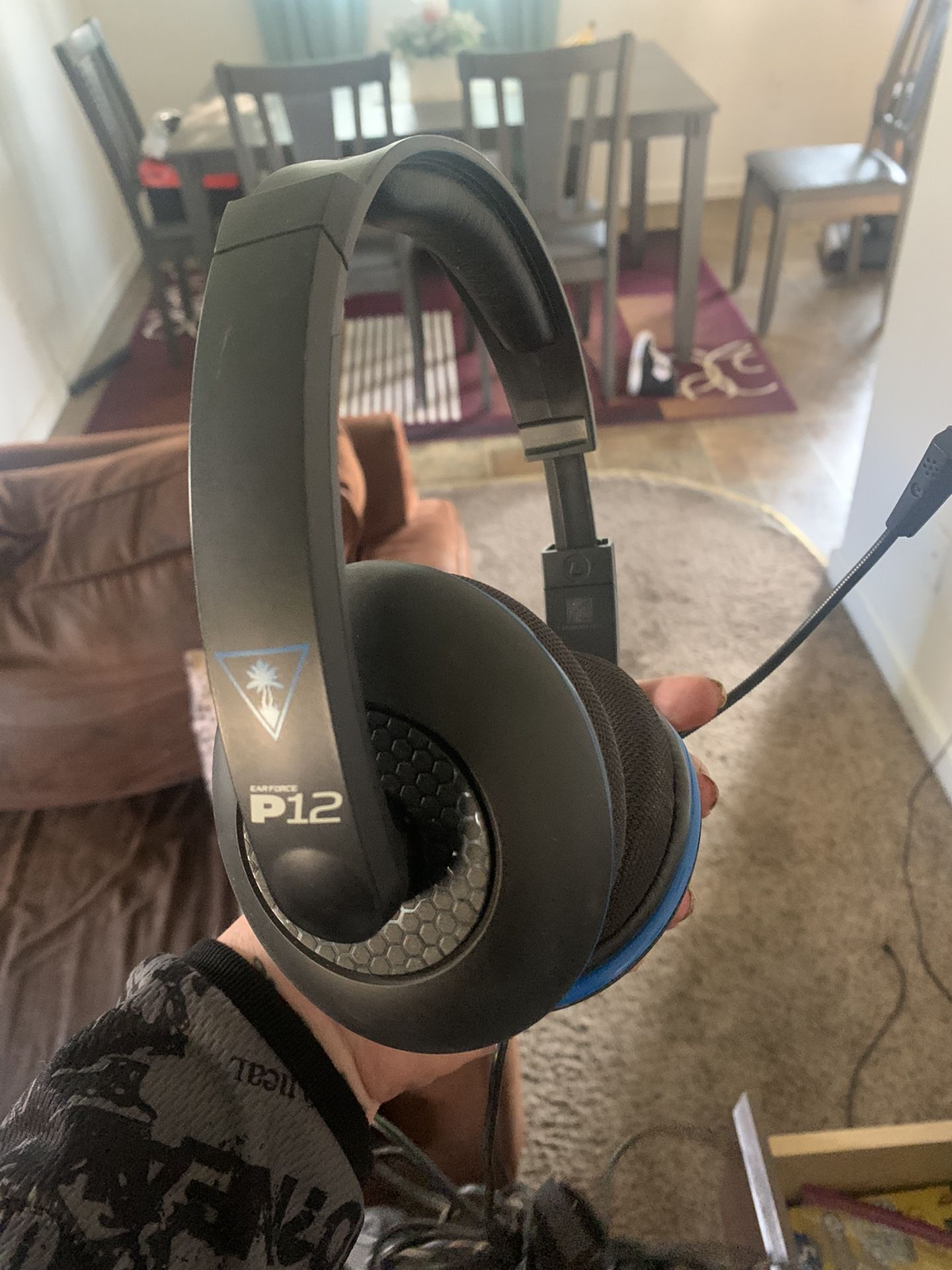 Turtle Beach P12 