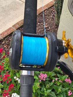 Daiwa Saltiga Reel/New Braid/ Rampage Rod